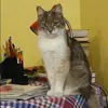 Отзыв от Фаина Королева